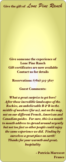 Give the gift of   Lone Pine Ranch











Give someone the experience of 
Lone Pine Ranch
 Gift certificates are now available
Contact us for details

Reservations: (780) 325-3817

Guest Comments:

What a great surprise to get here!  
After those incredible landscapes of the Rockies, an unbelievable B & B in the middle of nowhere (for us), not on the map, not on our different French, American and Canadian guides.  For sure, this is a mouth to mouth address to spread around urgently but not too fast so other people could enjoy the same experience we did.  Finding by ourselves a great place on earth!  
Thanks for your warmth and great hospitality

                                    ~ Patricia Marescot                                                      France