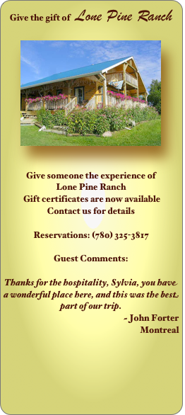Give the gift of   Lone Pine Ranch

￼


Give someone the experience of 
Lone Pine Ranch
 Gift certificates are now available
Contact us for details

Reservations: (780) 325-3817

Guest Comments:

Thanks for the hospitality, Sylvia, you have a wonderful place here, and this was the best part of our trip.
                                    ~ John Forter                                                      Montreal

